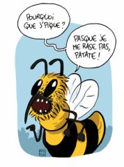 Wapiti 266 - Abeille vulgos.jpg
